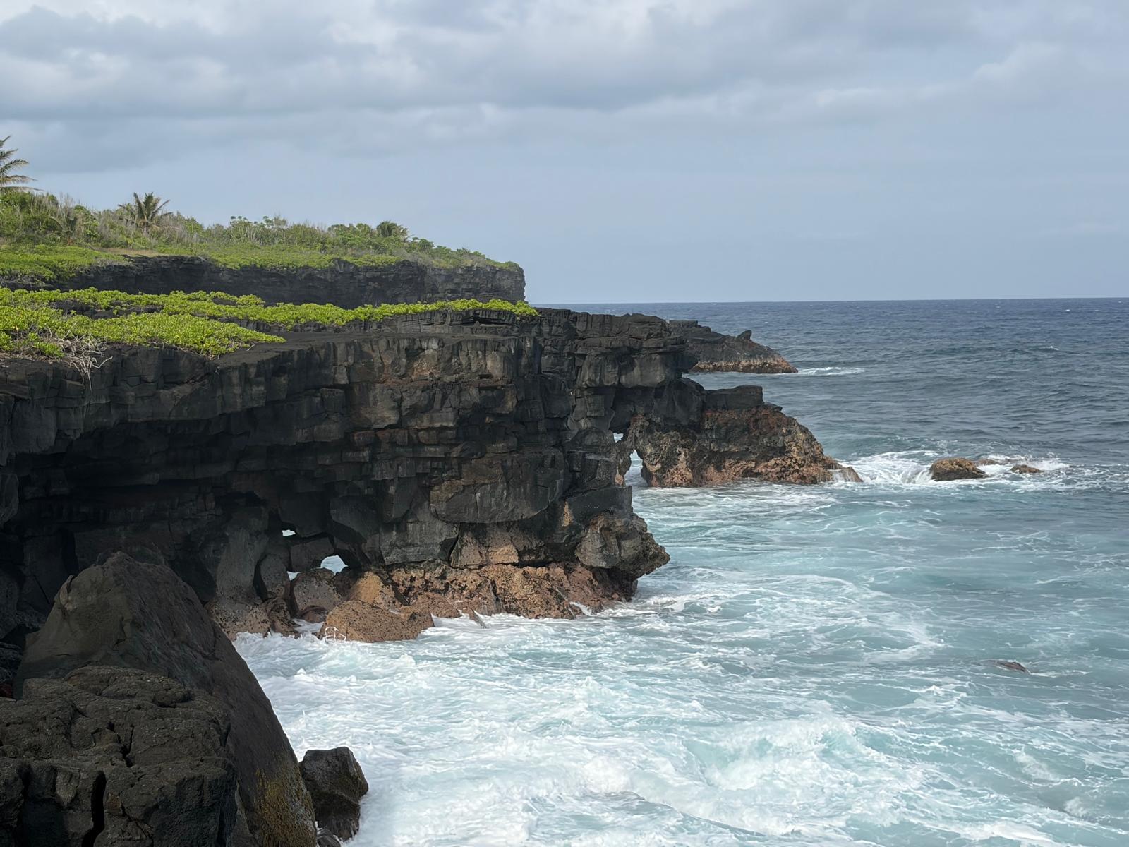 Black lava sea cliffs on the Puna coast, green growth along the clifftop and surf breaking against the rock below.